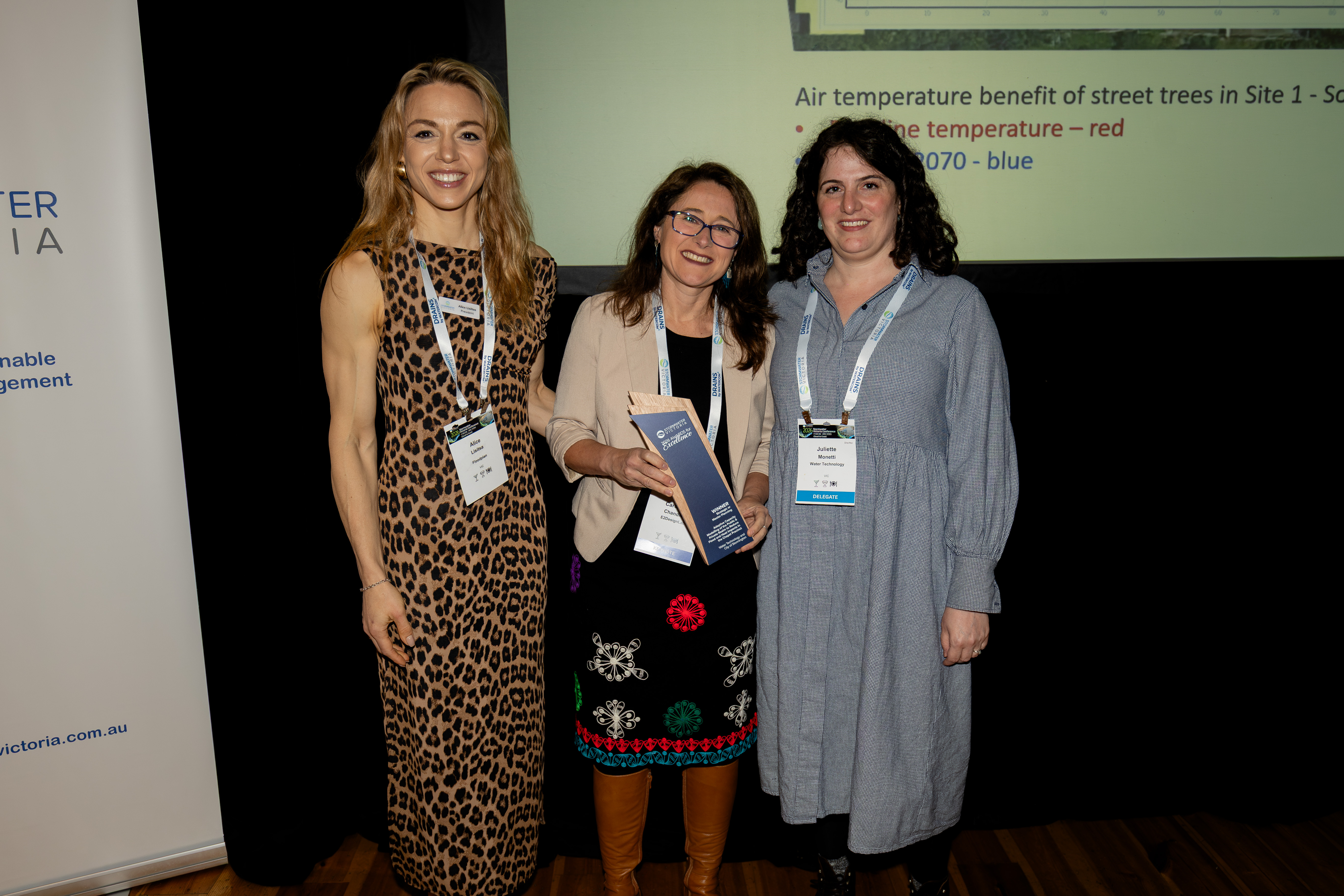 Strategic or Master Planning winner