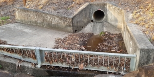 SQIDEP INDEPENDENT EVALUATION PANEL - EXPRESSIONS OF INTEREST INVITATION